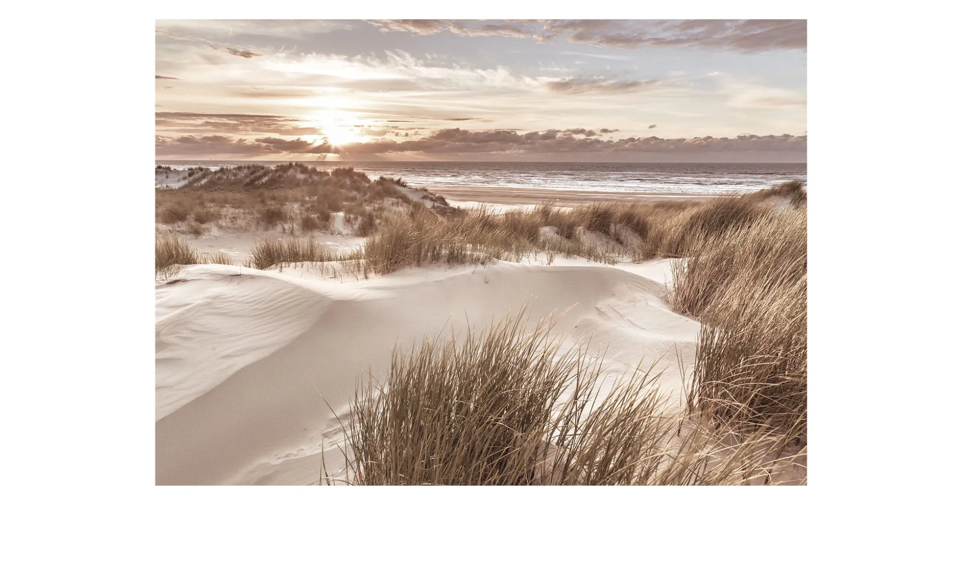 Alubild Beach at Sunrise 70 x 100 cm