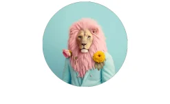 Alubild Pink Lion II 98 cm