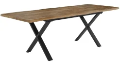 Ausziehtisch Maxi 2