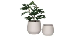 Blumentopf Nilla
