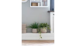 Blumentopf Nilla