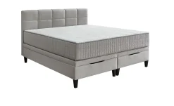 Boxbett Wicky