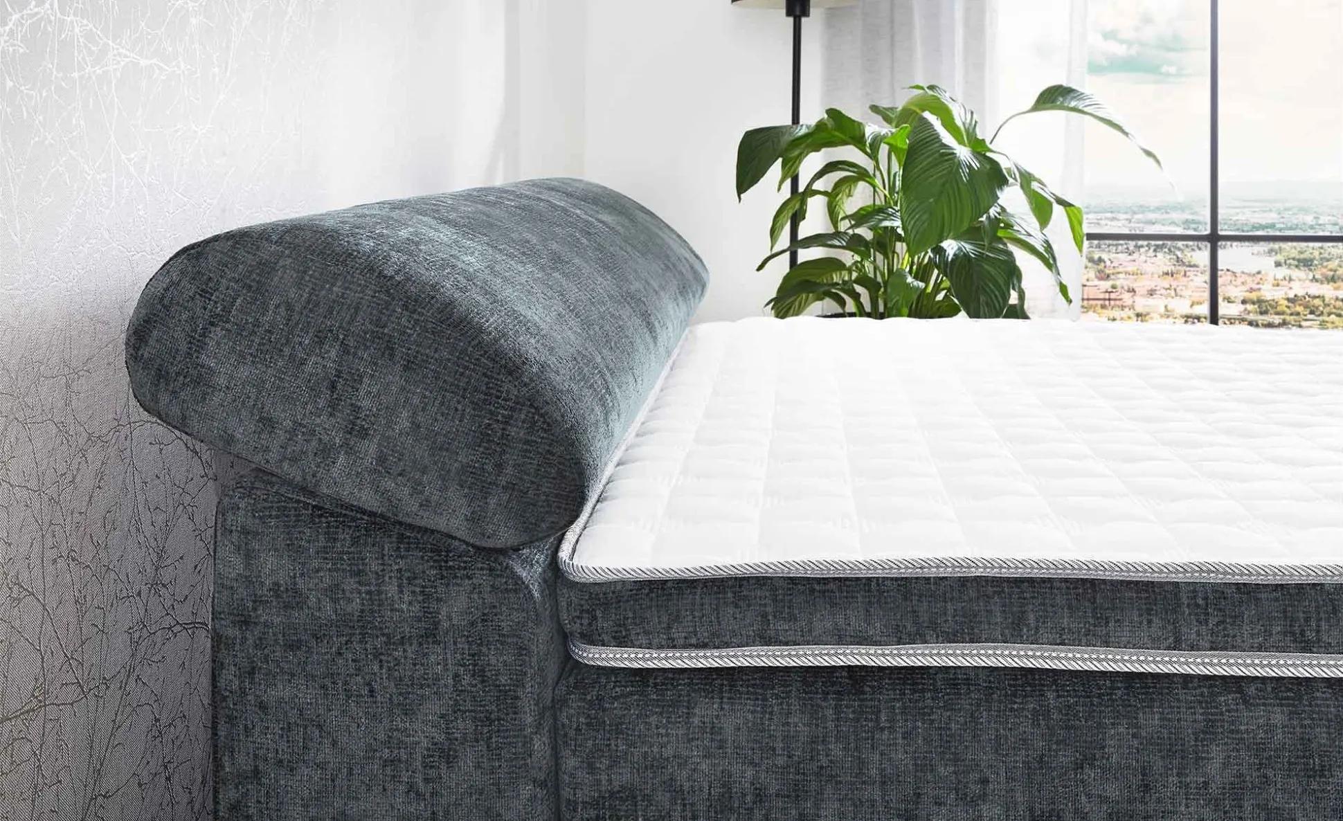 Boxspringbett Dany