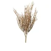 Calocephalus Busch 39 cm
