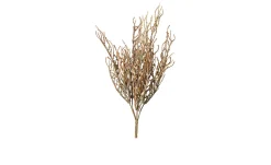 Calocephalus Busch 39 cm