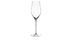 Champagnerglas Brunelli 340 ml