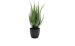 Deko-Pflanze 69 cm