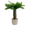 Deko-Pflanze Cycas 70 cm