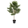 Deko-Pflanze Olive Tree