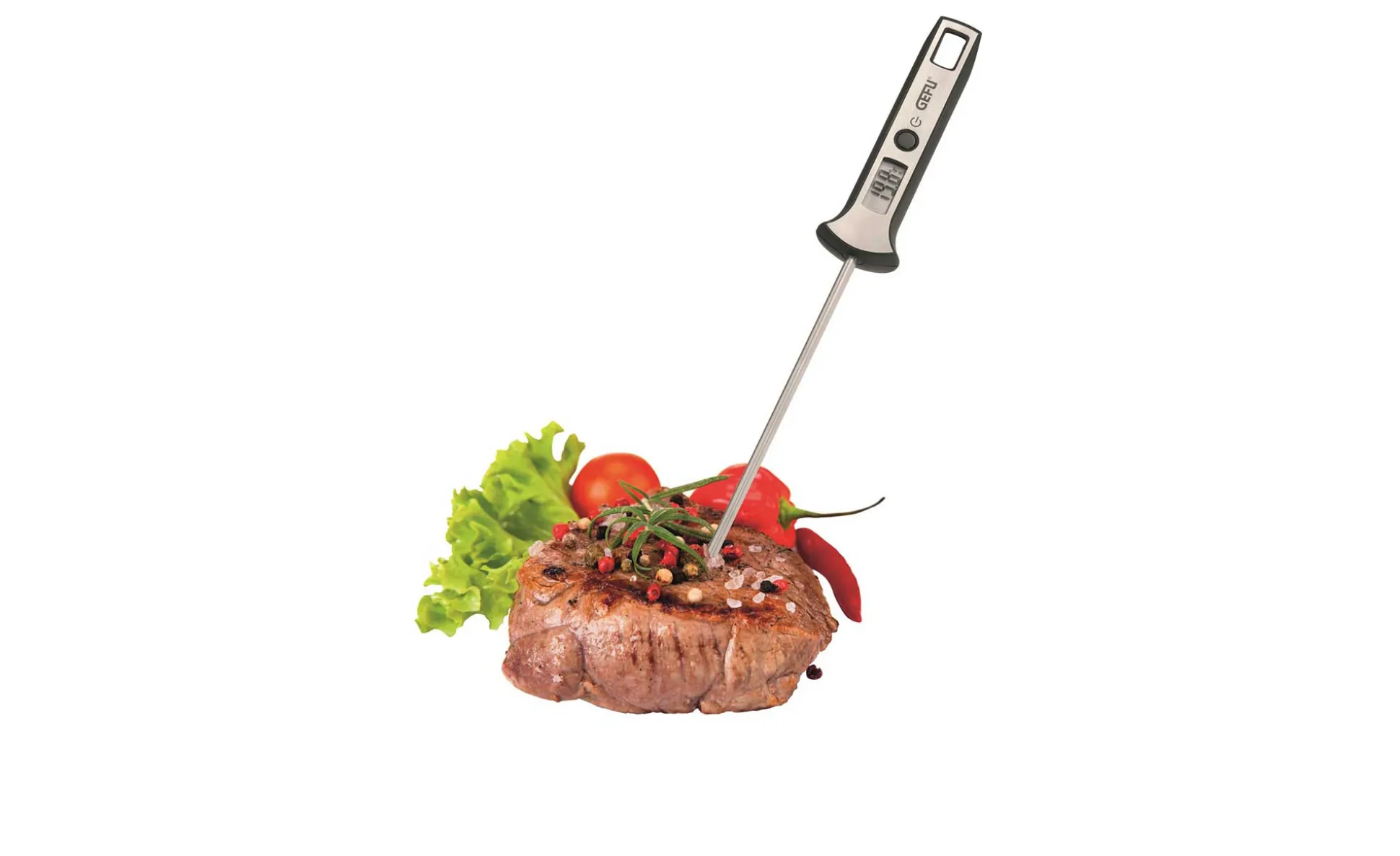 Digital-Thermometer Scala