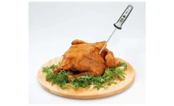 Digital-Thermometer Scala