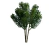 Edeltannen-Pick 28 cm