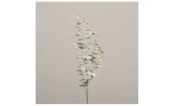 Eukalyptus 73 cm