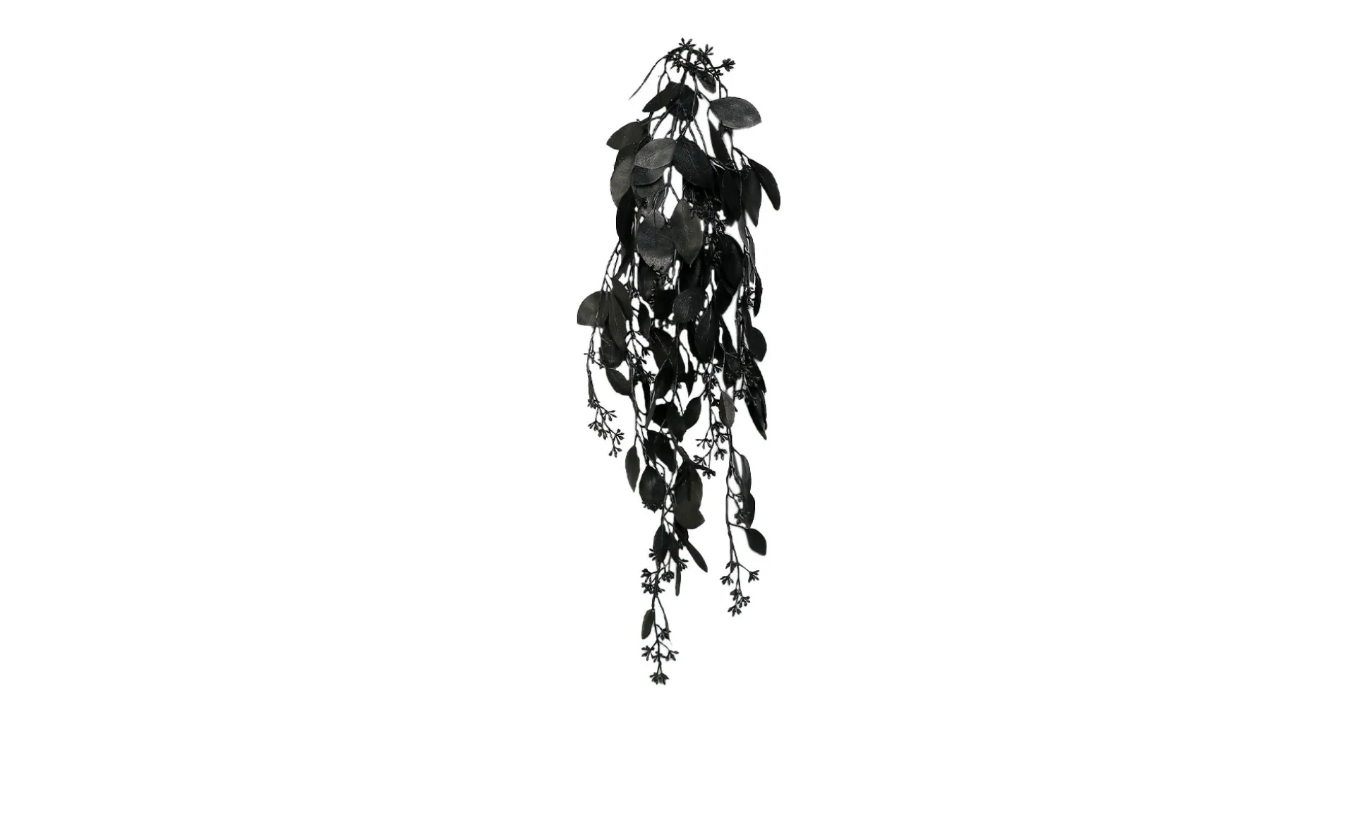 Eukalyptus Hänger 75 cm