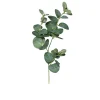 Eukalyptuszweig 64 cm