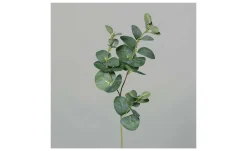 Eukalyptuszweig 64 cm