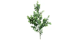 Eukalyptus-Zweig 70 cm
