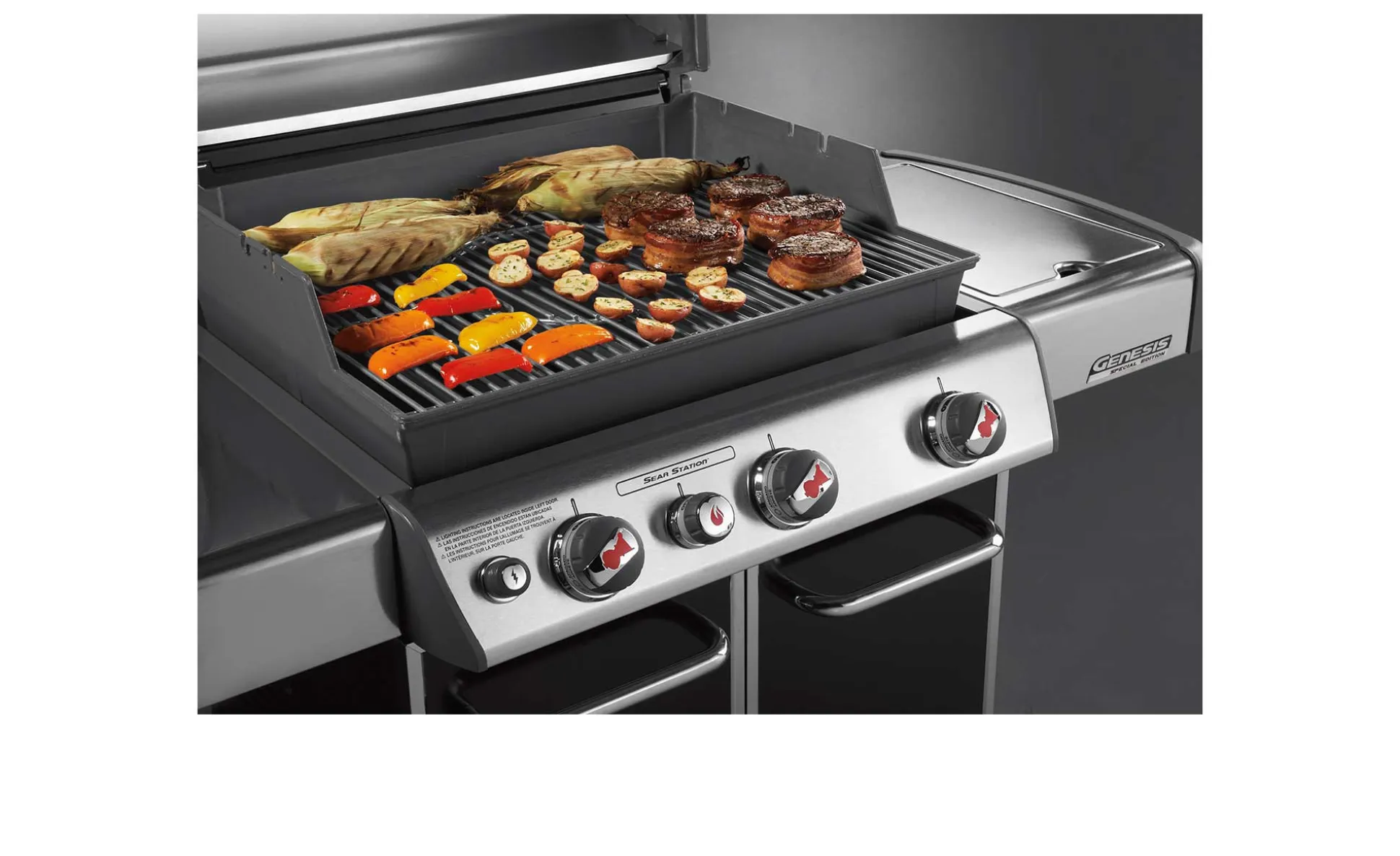GBS-Grillrost-Einsatz für Genesis-Gasgrills