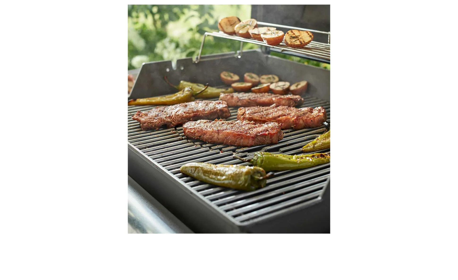 GBS-Grillrost-Einsatz für Genesis-Gasgrills