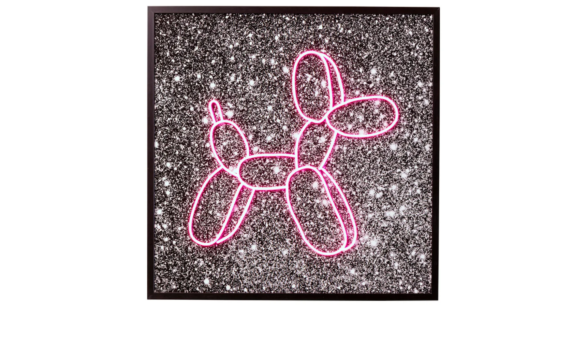 Glasbild Balloon Dog LED 80 x 80 cm