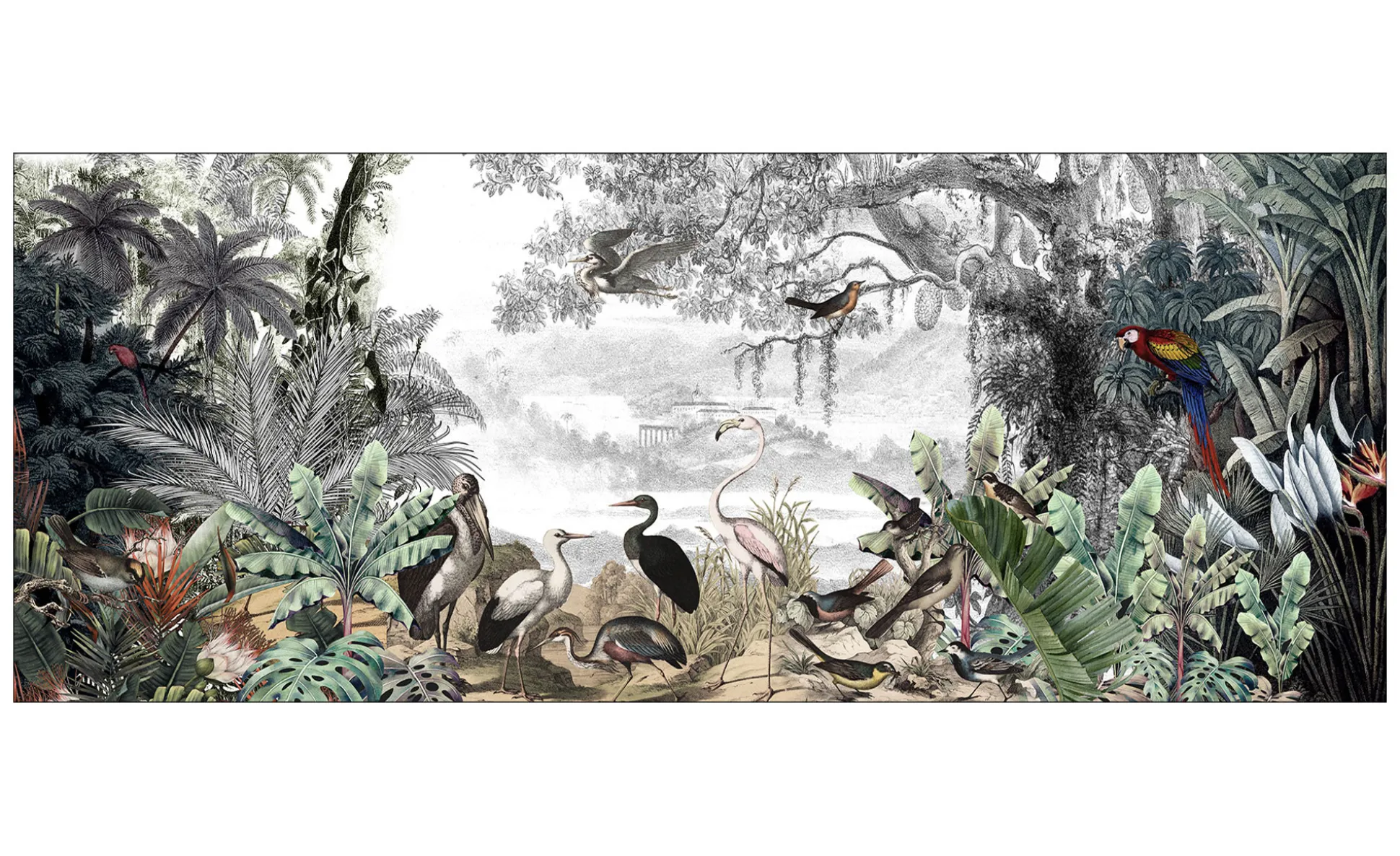 Glasbild Birds in the Jungle 50 x 125 cm