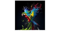 Glasbild Colorful Ara 30 x 30 cm