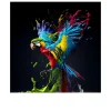 Glasbild Colorful Ara 50 x 50 cm