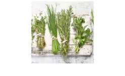 Glasbild Cook 20 x 20 cm