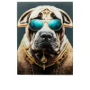 Glasbild Fashion Dog 60 x 80 cm