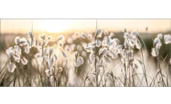 Glasbild Field Flowers In The Sun 50 x 125 cm