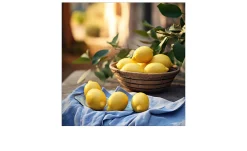 Glasbild Lemons III 50 x 50 cm