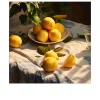 Glasbild Lemons IV 30 x 30 cm
