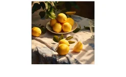 Glasbild Lemons IV 50 x 50 cm