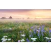 Glasbild Morning Haze 30 x 80 cm