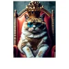 Glasbild The Cat is King 60 x 80 cm
