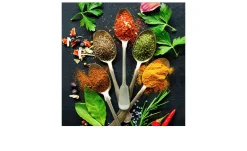 Glasbild Vintage Herbage II 50 x 50 cm