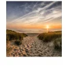 Glasbild Weg Zum Strand 50 x 50 cm