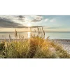 Glasbild Wilder Strand 30 x 80 cm