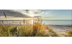 Glasbild Wilder Strand 30 x 80 cm