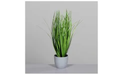 Grasarrangement 38 cm