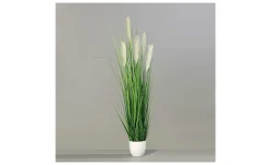 Grasarrangement 150 cm