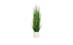 Gras 170 cm