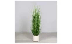 Gras 170 cm