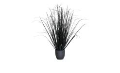 Gras 130 cm