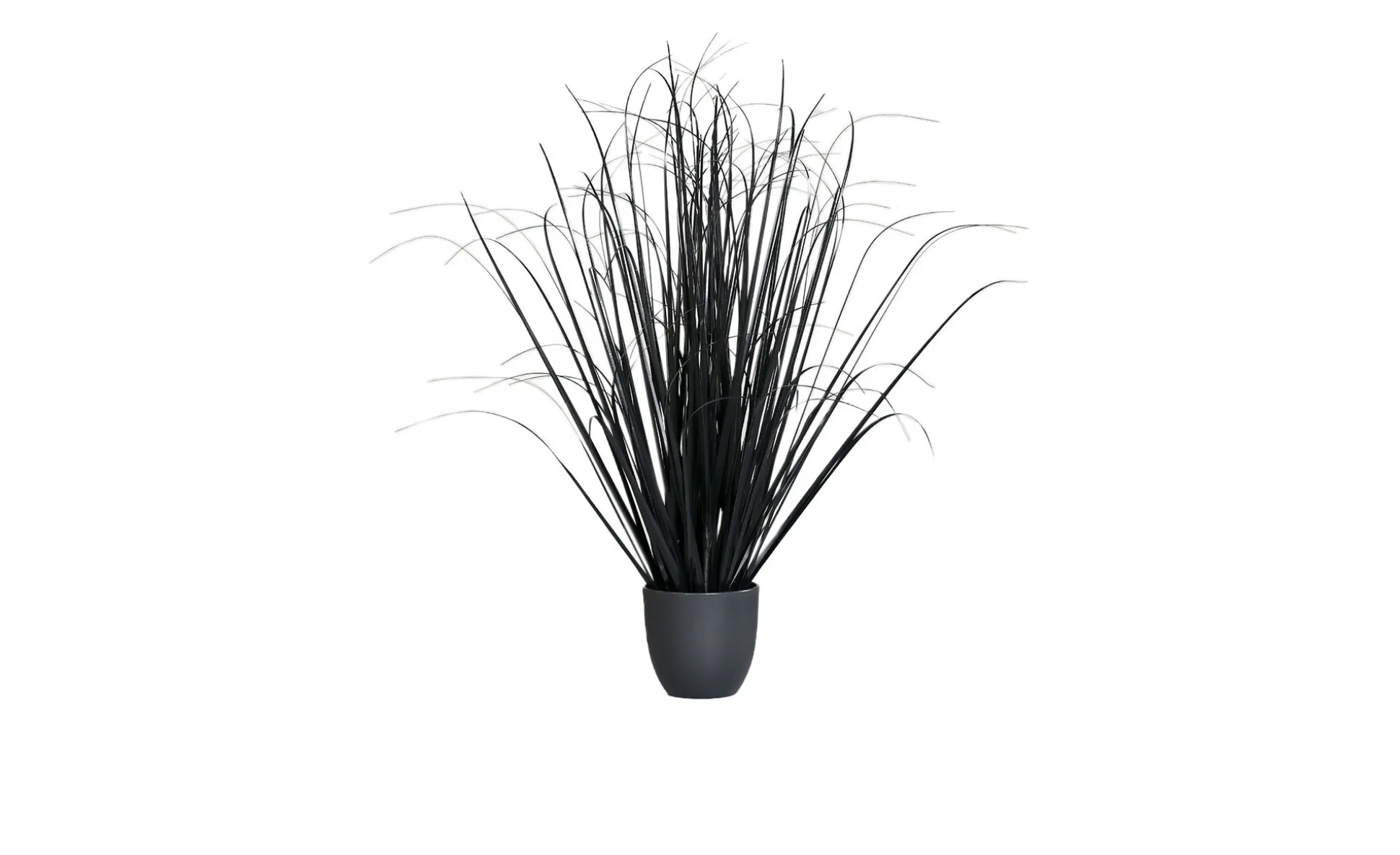 Gras 130 cm