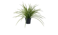 Gras Kunstpflanze Nilla