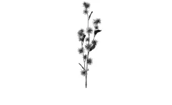 Hamameliszweig 60 cm