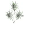Hamamelis-Zweig 44 cm