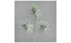 Hamamelis-Zweig 44 cm