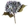 Hortensie 45 cm